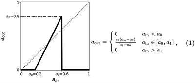 Young and Aged Neuronal Tissue Dynamics With a Simplified Neuronal Patch Cellular Automata Model